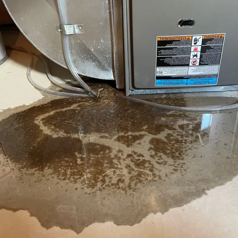 Pipe Burst and Leak Restoration in Fort Covington Hamlet, NY